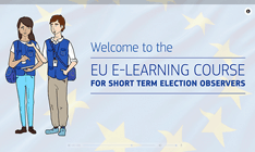 Short Term Observers